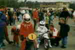 Waldpolenz 1996